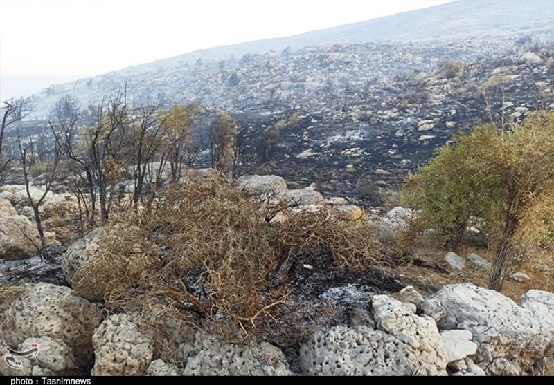 آتش سوزی کوه های خامی و نارک گچساران مهار شد؛ اقدام جهادی در نبرد با آتش