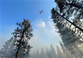 Wildfires Tear through Western US during Heatwave