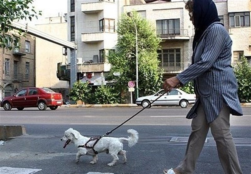 لزوم تدوین قوانین دقیق مدون برای سگ‌گردانی