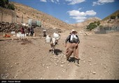 دست و پنجه کشاورزان با خشکسالی بیسابقه خراسان رضوی