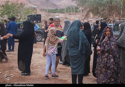سیل آمد و بازهم مسئولان زنجانی غافلگیر شدند / از تلف شدن دامها تا نابودی مزارع + فیلم