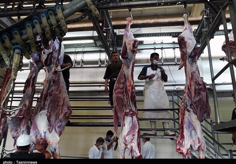 دلیل گرانی گوشت قرمز مشخص شد/ عرضه در بهمن ماه 24 درصد کاهش یافت