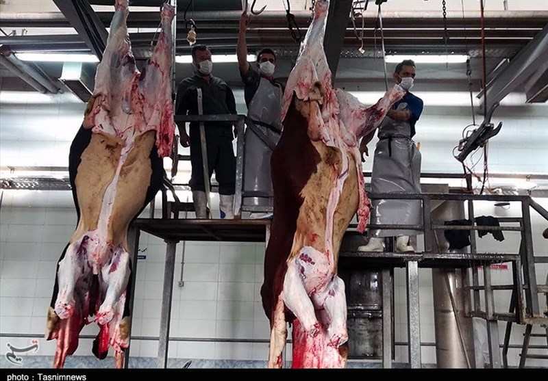 کمبود قصاب در انگلیس/ لاشه های گوشت برای پاک کردن به کشورهای دیگر فرستاده می‌شوند