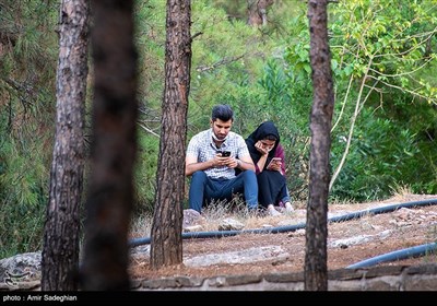 دعای عرفه در جوار قبور مطهر شهدای گمنام -شیراز 