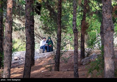 دعای عرفه در جوار قبور مطهر شهدای گمنام -شیراز 