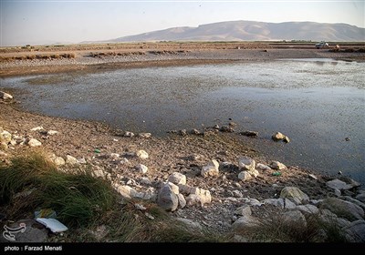 مرگ تدریجی تالاب بین المللی هشیلان