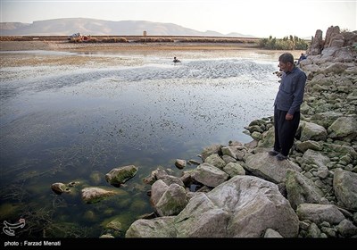 مرگ تدریجی تالاب بین المللی هشیلان