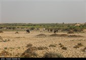 بحران آب در روستاهای شهرستان حمیدیه - خوزستان