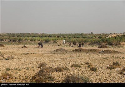 بحران آب در روستاهای شهرستان حمیدیه - خوزستان