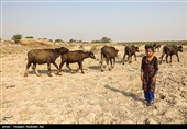 بحران آب در روستاهای شهرستان حمیدیه - خوزستان