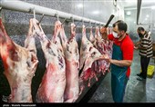 توزیع 1700 بسته گوشت گوسفندی بین نیازمندان کرمانشاهی