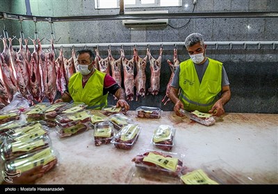 اهدای گوشت قربانی به نیازمندان در گرگان
