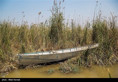 بازگشت آب به هورالعظیم 