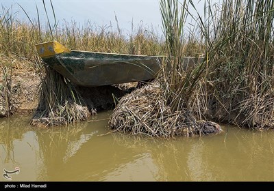 بازگشت آب به هورالعظیم 