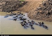 رسیدن آب به دحیماوی و رفیع - خوزستان