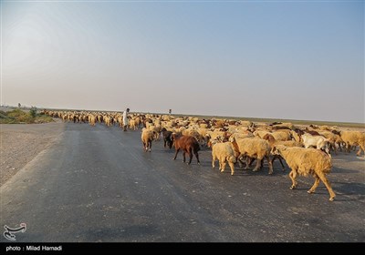 رسیدن آب به دحیماوی و رفیع - خوزستان