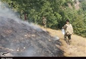 مهار آتش‌سوزی در جنگل‌های استان گلستان/ 20 هکتار جنگل در آتش سوخت+ تصاویر و فیلم