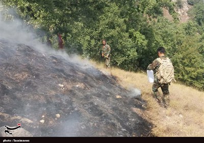 مهار آتشسوزی در جنگلهای استان گلستان/ 20 هکتار جنگل در آتش سوخت+ تصاویر و فیلم