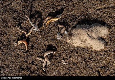 حوضه آب ریز کشکان حدود یک سوم از خاک استان لرستان را در برمی‌گیرد و شهرستان‌هایی از جمله خرم‌آباد، کوهدشت، سلسله و پلدختر در مسیر حرکت آن قرار دارند، این رودخانه عظیم از سمت شمال غرب به رودخانه گاماسیاب، غرب و جنوب غربی به رودخانه سیمره و از شرق به سر شاخه‌های فرعی رودخانه دز می‌پیوندد و از جنوب یکی از سر شاخه‌های پر آب رودخانه کرخه به شمار می‌آید.