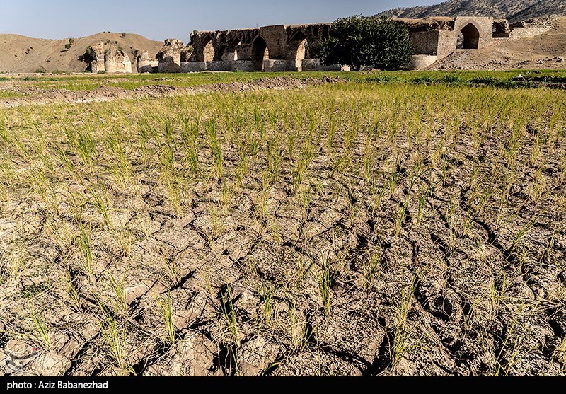 بروز 4 نوع خشک‌سالی در لرستان/ کشاورزان غیربومی آب‌وخاک منطقه را تاراج کردند