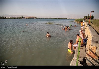 آب تنی در سراب نیلوفر- کرمانشاه