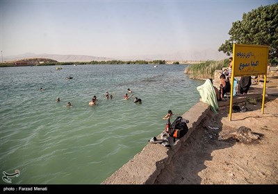 آب تنی در سراب نیلوفر- کرمانشاه