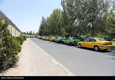 رانندگان،واكسن،تاكسي