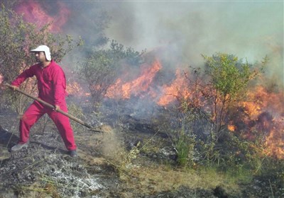  ۱۲۸ هکتار اراضی میانکاله از ابتدای سال در آتش سوخت/هشدار درباره آتش‌سوزی دوباره 