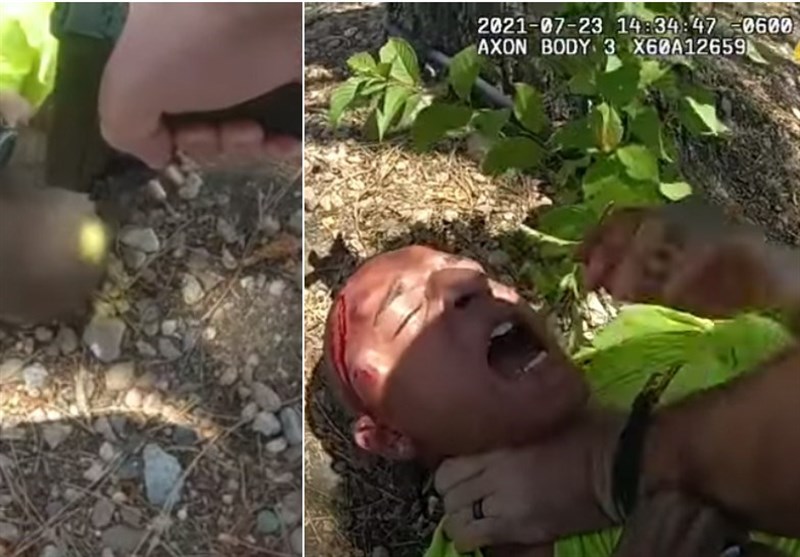 US Police Officers Choke Trespassing Suspect in Violent Video