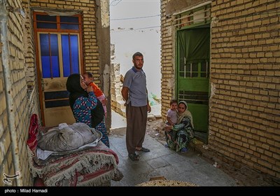 نخلهای شهر خنافره شادگان در آستانه نابودی
