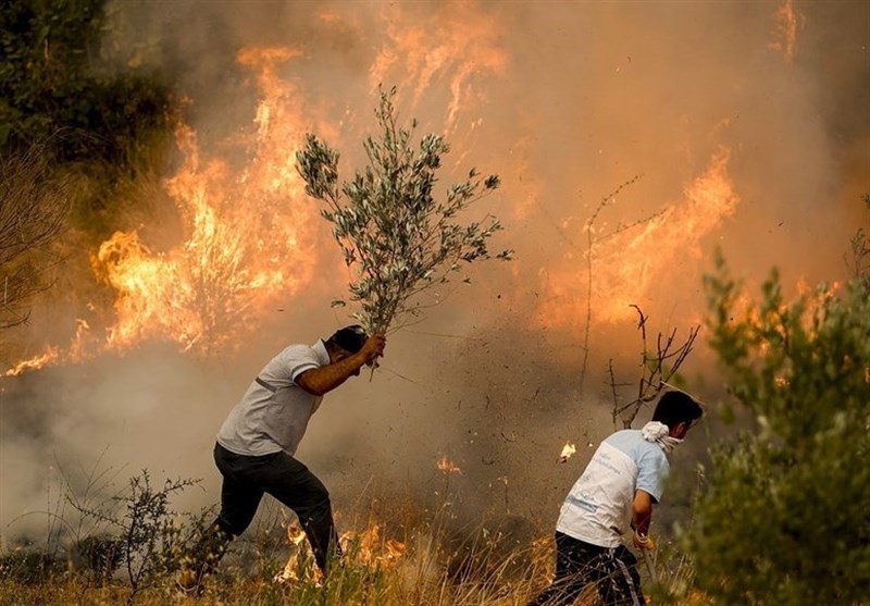 حواشی 107 آتش سوزی در جنگل‌های ترکیه- بخش اول