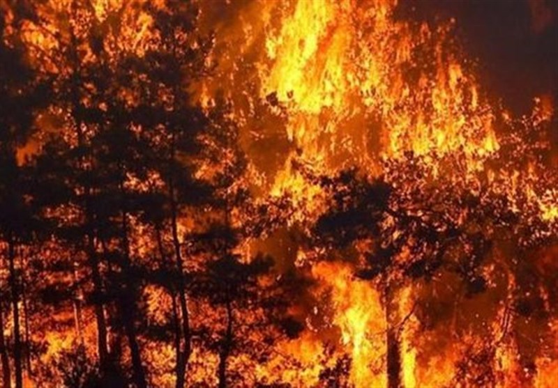 حواشی ۱۰۷ آتش سوزی جنگل های ترکیه و درس عبرتی برای ایران- بخش پایانی