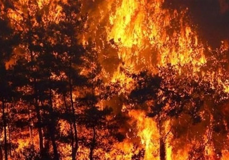 آتش سوزی یک شهر کوهستانی کالیفرنیا را به خاکستر تبدیل کرد+فیلم