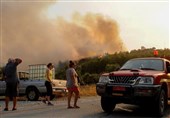 فاجعه‌بارترین سال آتش سوزی‌های جنگلی در اسپانیا/ تلاش آتش‌نشان یونان برای مهار حریق