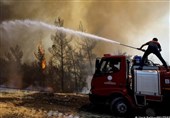 شعله‌ور شدن مجدد آتش سوزی‌های جنگلی در جنوب اروپا به دلیل گرمای شدید