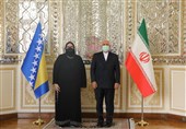 دیدار ظریف و وزیر امور خارجه بوسنی و هرزگوین در تهران