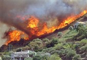 آتش‌سوزی در منابع طبیعی استان کرمانشاه 60 درصد کاهش یافت