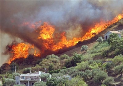  سریال نابودی گونه‌های جانوری و گیاهی در استان کرمانشاه ادامه دارد/ بررسی دلیل آتش‌سوزی تالاب "هشیلان" 