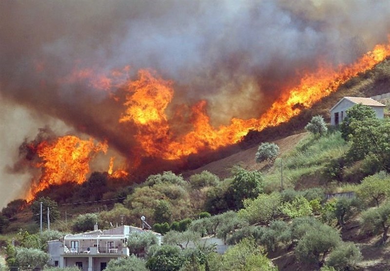 سریال نابودی گونه‌های جانوری و گیاهی در استان کرمانشاه ادامه دارد/ بررسی دلیل آتش‌سوزی تالاب &quot;هشیلان&quot;