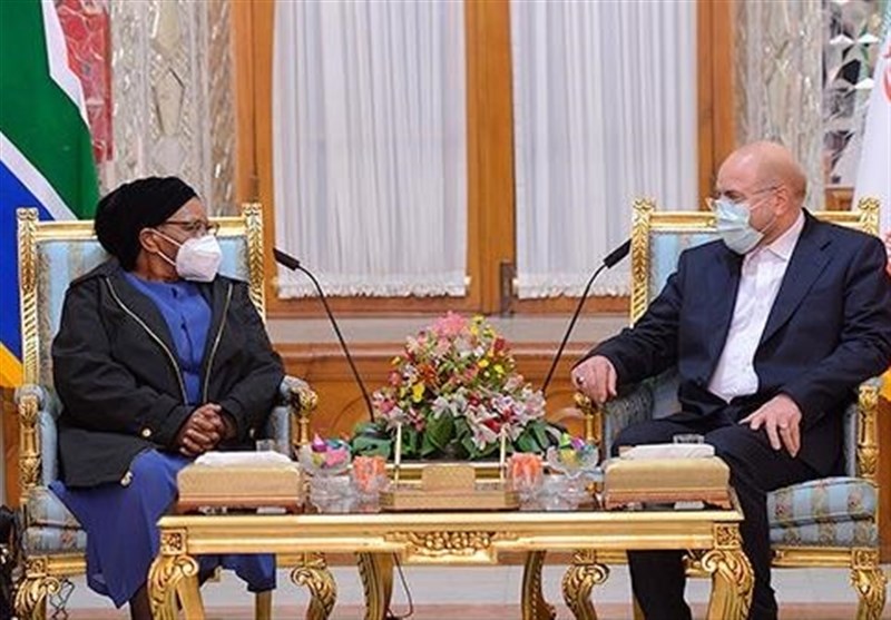 تاکید روسای مجالس ایران و آفریقای جنوبی بر ارتقاء همکاری‌های دوجانبه