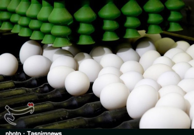 تشدید تولید و واردات برای مقابله با گرانی تخم مرغ/قیمت مصوب 42500 تومان شد