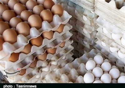  قیمت هر شانه تخم مرغ به ۳۹ هزار تومان کاهش یافت 