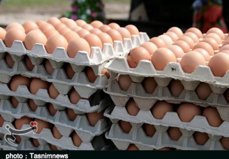 قیمت تخم‌مرغ در همدان 12 هزار تومان ارزان شد