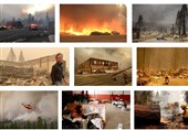 آتش سوزی کالیفرنیا پایان ندارد+فیلم و تصاویر