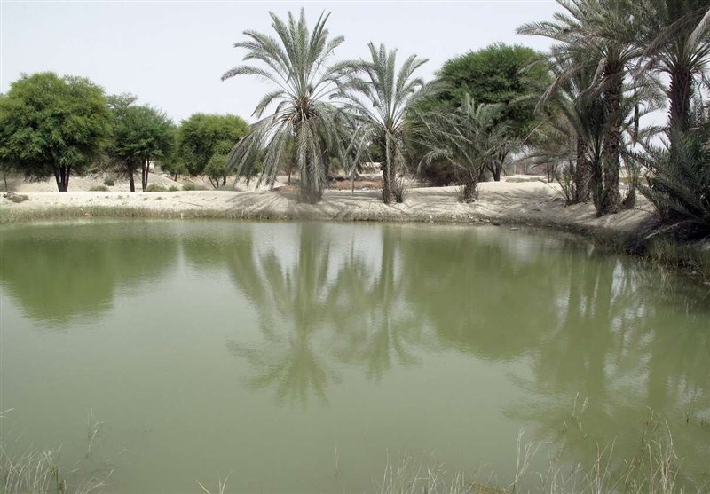 «معجزه آبخیزداری»|هوتک ها؛ سامانه های ارزشمند آبگیر باران در جنوب ایران/ ضرورت سازماندهی 2000 هوتک