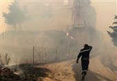 افزایش تعداد کشته‌های آتش‌سوزی جنگل‌های الجزایر به 42 نفر