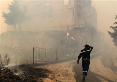  افزایش تعداد کشته‌های آتش‌سوزی جنگل‌های الجزایر به ۴۲ نفر 