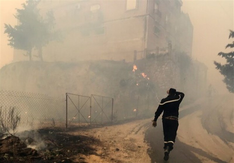افزایش تعداد کشته‌های آتش‌سوزی جنگل‌های الجزایر به 42 نفر