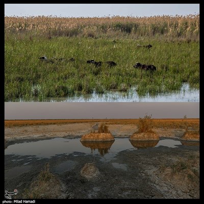 عظیم بی آب - خوزستان