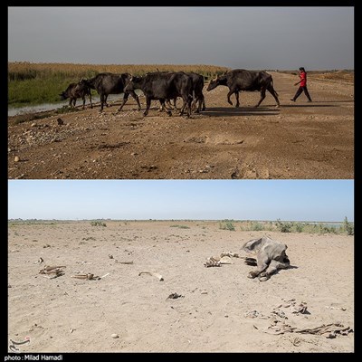 عظیم بی آب - خوزستان